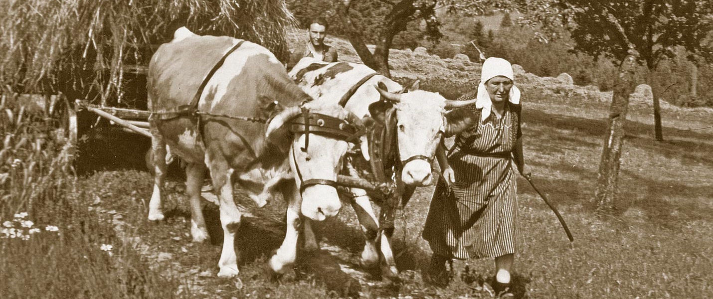 <img alt="" src="/user/pages/01.home/Heuernste_start_web.jpg?alt" />